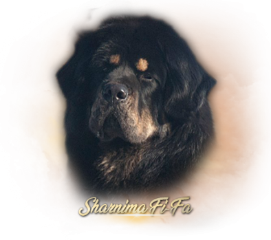 ik sharnima