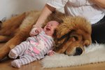 BUBBLEDOG