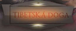 Tibetska doga